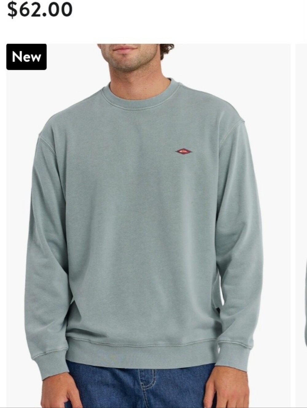 Quicksilver Men's Crewneck Sweatshirt in Sage Green